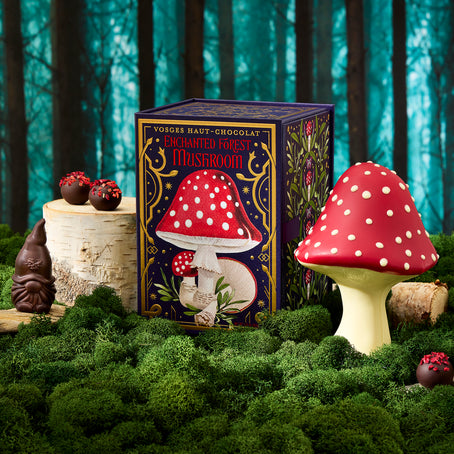 enchanted-mushroom-extraordinaire