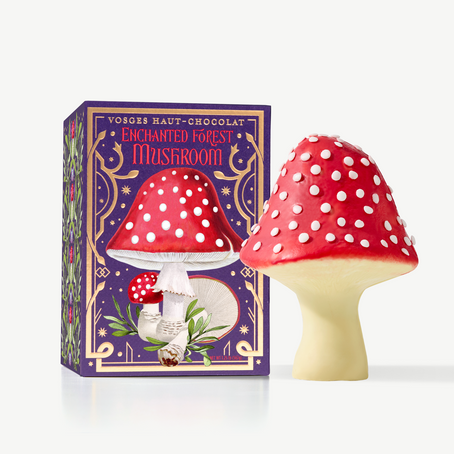 enchanted-mushroom-extraordinaire