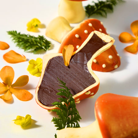 chocolate-forest-mushroom